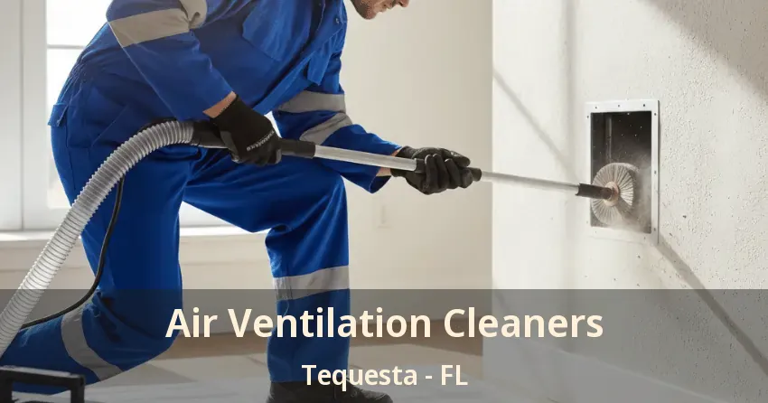 Air Ventilation Cleaners Tequesta - FL