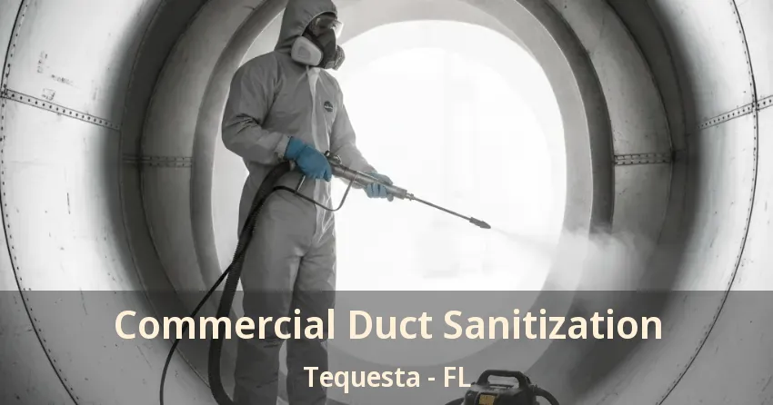 Commercial Duct Sanitization Tequesta - FL