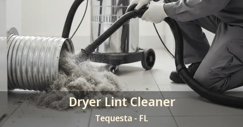 Dryer Lint Cleaner Tequesta - FL