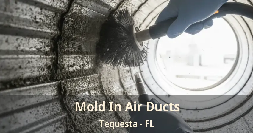 Mold In Air Ducts Tequesta - FL
